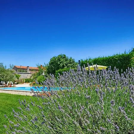 In - Istrien 52053 Villa *