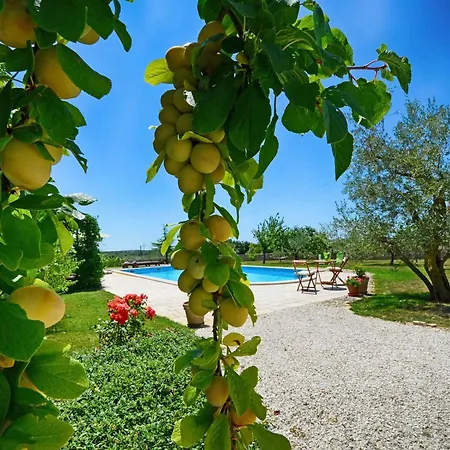 In - Istrien 52053 Villa *